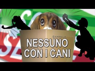 Nessuno con i Cani (parodia Nessuno allo Stadio EELST)