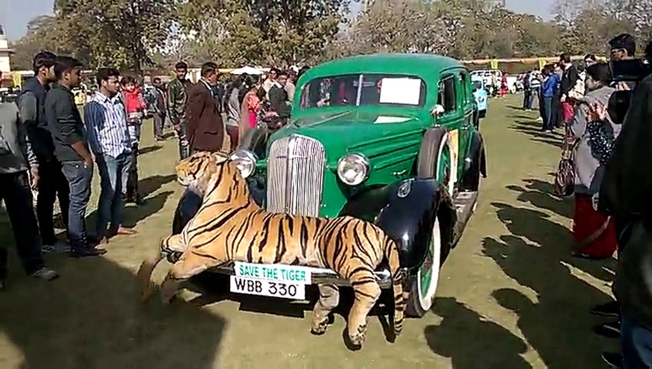 18th Vintage Car Rally Jaipur | CarKhabri.com