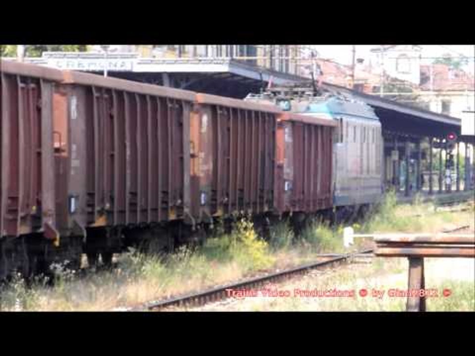 Mercioni "tigrati" a Cremona