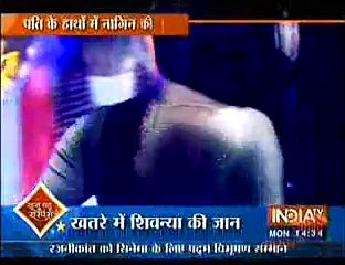 Naagin 25th January 2016 Naagin aur Nevle ko Ek doosre ke Karib dekh Kar Ritik ko Laga Shock