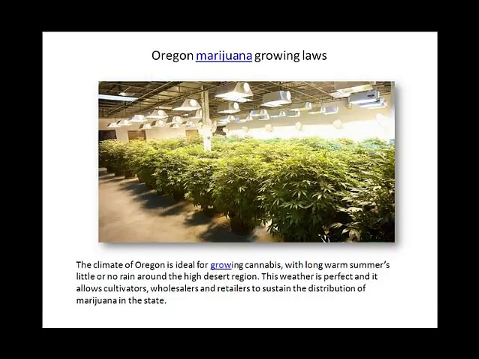 Oregon marijuana growing laws