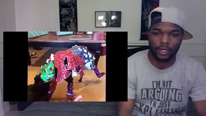 Funny Animals Compilation Reaction & Thoughts #JCTG (Funny Videos 720p)