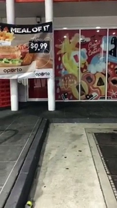 Deux garçons tentent d'arrêter des voleurs