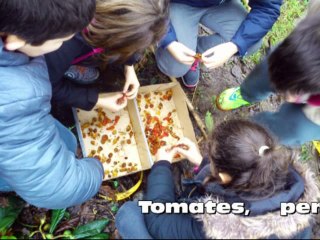 arpov recursos HORTO ESCOLAR