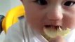 so cute baby doing taste of sour lemon must watch