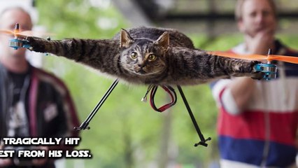 Shocking Images You Wont Believe Are Not Photoshopped