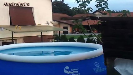 BU Adam Çıldırmış Olmalı Yaptığına bir bakın