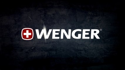 Анимационный логотип "Wenger"