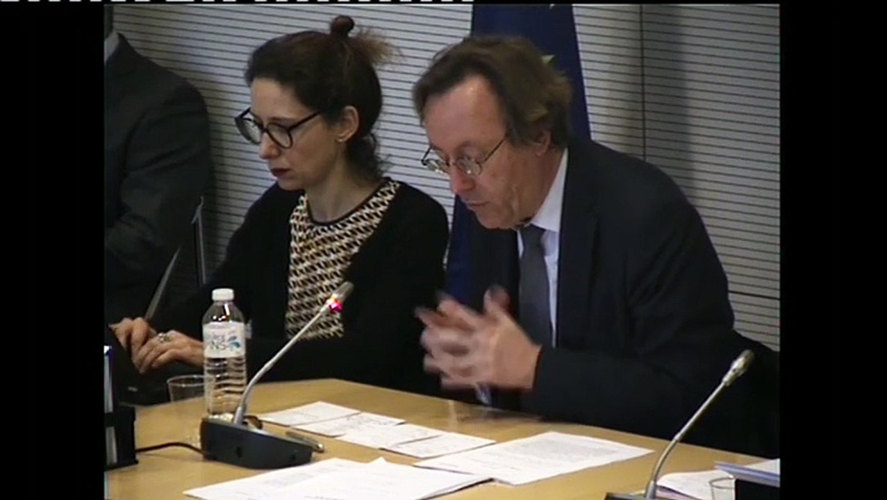 Intervention de Jean-Patrick GILLE devant la Commission des Affaires européennes - Assurance chômage européenne 2