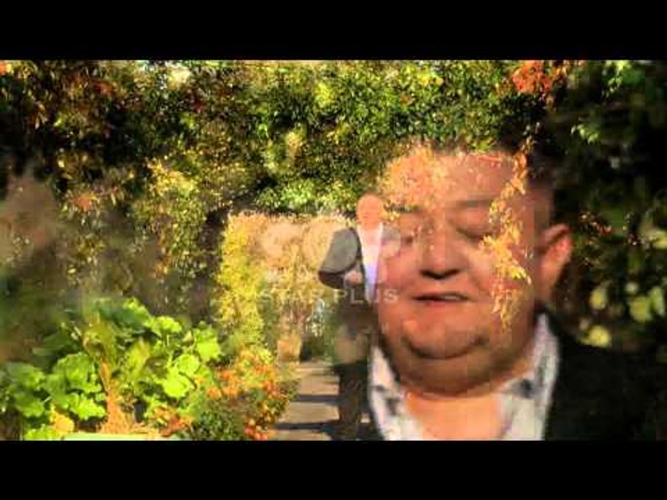 Gëzim Salaj - Ah pleqni