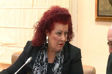 IVAM pide a Ciscar que dimita como directora honoraria