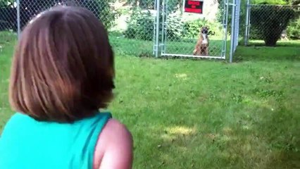 Devoted dog welcomes little girl home from school