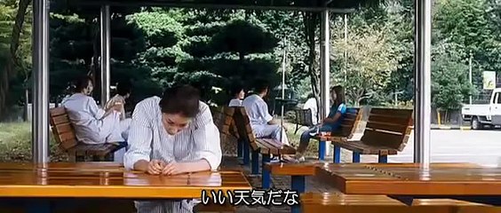 韓国映画 2006 連理の枝日本語字幕　チェ・ジウ、 チョ・ハンソン