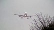 Storm!! Cathay Pacific Airways Airbus A330-300 Crosswind Landing at Narita Big Planes