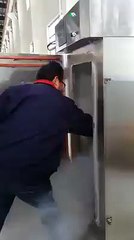 This frozen fish came back to life when defrosted. Simply amazing!