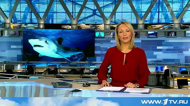 Я В ШОКЕ СУМАСШЕДШИЙ МУЖИК НАПАЛ НА СМЕРТЕЛЬНО ОПАСНУЮ АКУЛУ (MAN attacked Danger shark)