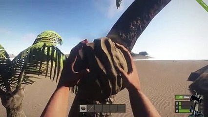 Rust Experimental en español Guia Básica de Supervivencia