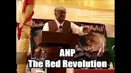 ANP Asfandyar Wali Khan Speech about Taliban