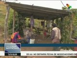 Venezuela: agricultores de Cojedes reactivan producción de alimentos