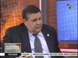 Tineo: Constitución de Venezuela consagra derecho de opinión política