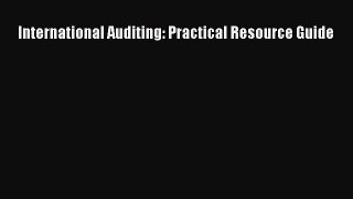 International Auditing: Practical Resource Guide  PDF Download