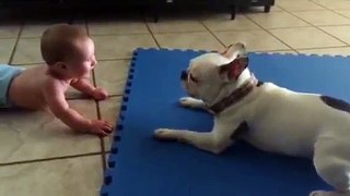 Dog play with kid! Cute dog is so playful like kidish