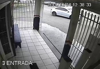 Dog Miraculously Misses Car Crash Into Pastry Shop