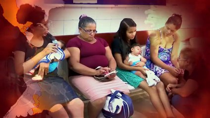 What is the Zika Virus - BBC Report