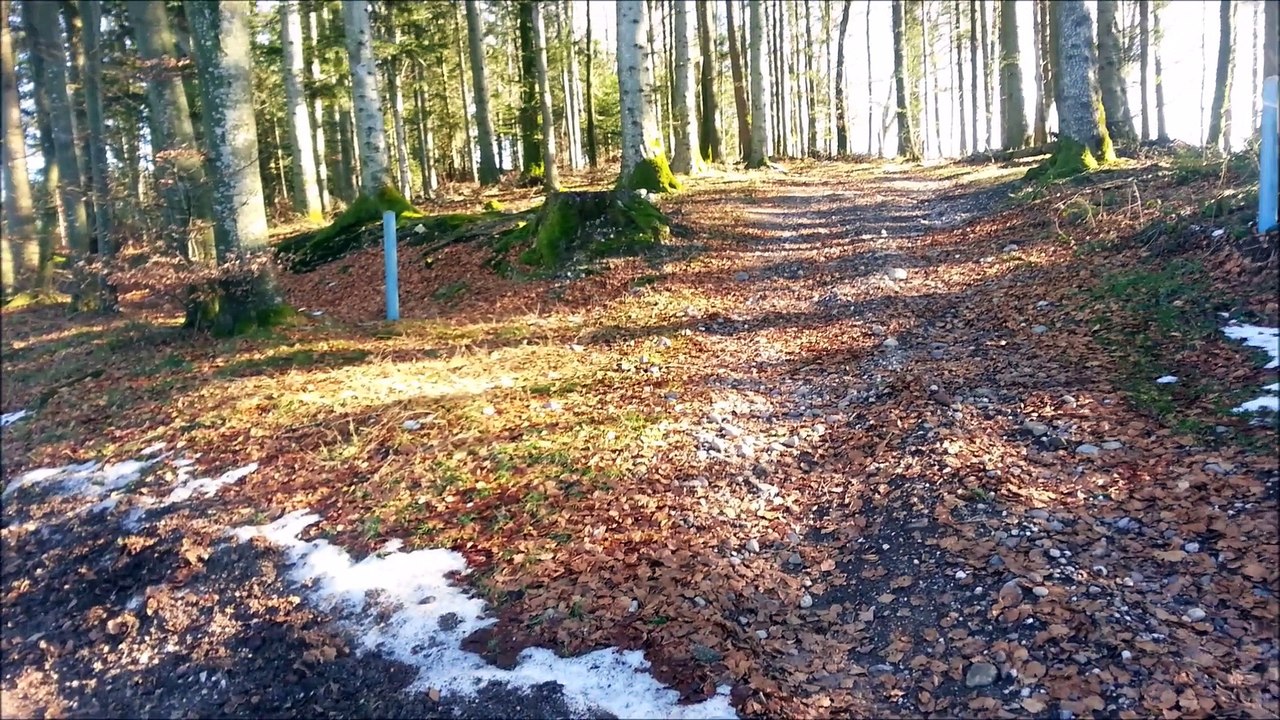 25 janvier 2016 à Corfaing
