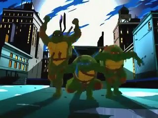 TMNT s02e18 The Golden Puck (WIDESCREEN)