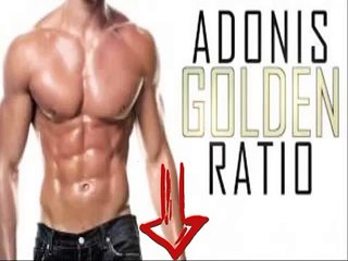 Adonis Golden Ratio System