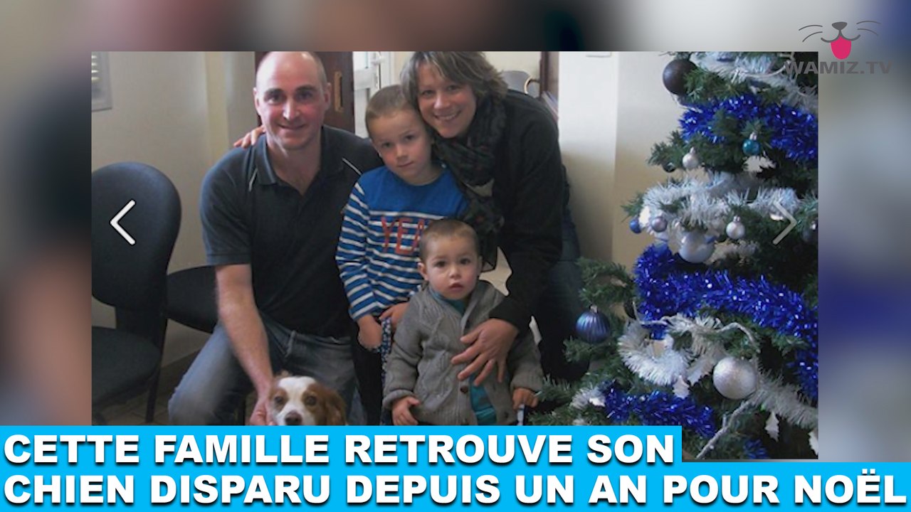 Cette famille retrouve son chien disparu depuis un an pour Noël ! L’histoire dans la minute chien #110