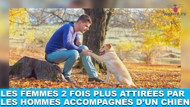 Les femmes seraient deux fois plus attirées par les hommes accompagnés d’un chien ! Plus d’infos dans la minute chien #111