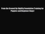 From the Ground Up (Agility Foundation Training for Puppies and Beginner Dogs)  Read Online