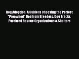 Dog Adoption: A Guide to Choosing the Perfect Preowned Dog from Breeders Dog Tracks Purebred