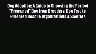 Dog Adoption: A Guide to Choosing the Perfect Preowned Dog from Breeders Dog Tracks Purebred