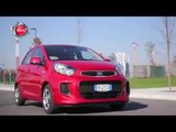 Nuova Kia Picanto, Nuova Fiat Tipo e Infiniti Q30 | TG Ruote in Pista