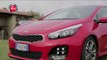 Nuova Kia C'eed, novità Citroen e Hyundai | TG Ruote in Pista