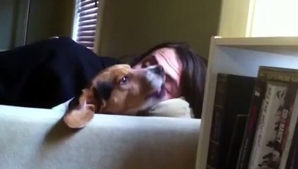 24 Pets Who Can Talk Like Humans