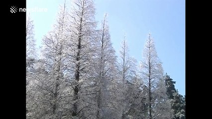 Stunning winter scenes in China