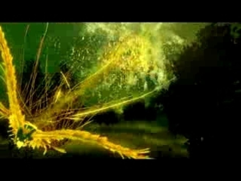 Fantasia