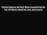 Chicken Soup for the Soul: What I Learned from the Cat: 101 Stories about Life Love and Lessons