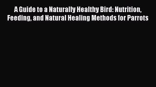 A Guide to a Naturally Healthy Bird: Nutrition Feeding and Natural Healing Methods for Parrots
