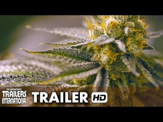 Rolling Papers Official Trailer (2015) - Marijuana Documentary [HD]