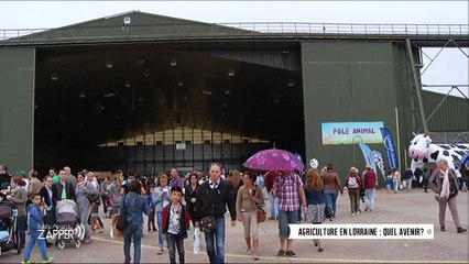 Juste Avant de Zapper - 25/01/16 - Agriculture / Nancy Eternelle