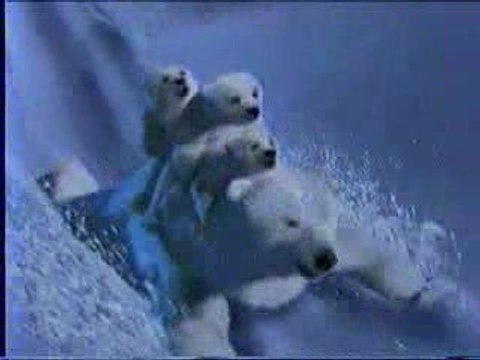 Pub Comique - Coca Cola (Ours Glissade)