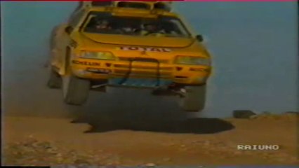 citroen zx spot (1991)