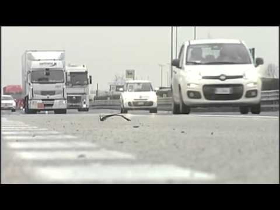 Audi i verdhë, një nga të dyshuarit në polici: Nuk kemi lidhje! - Top Channel Albania - News - Lajme