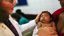 Zika virus: What you need to know - BBC News