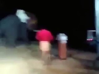 Elephant attack in Karpaka Vinayakar Temple Tamilnadu Pillayarpatti india on 12_